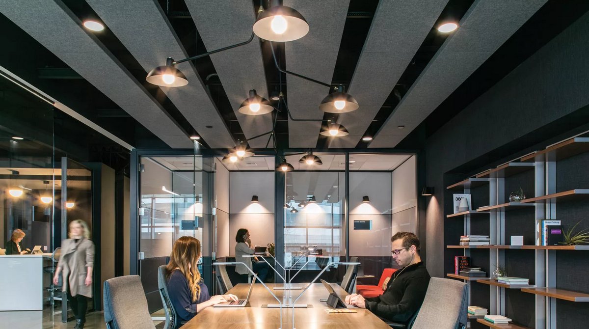 Brighten Your Office Space with the Right Company
